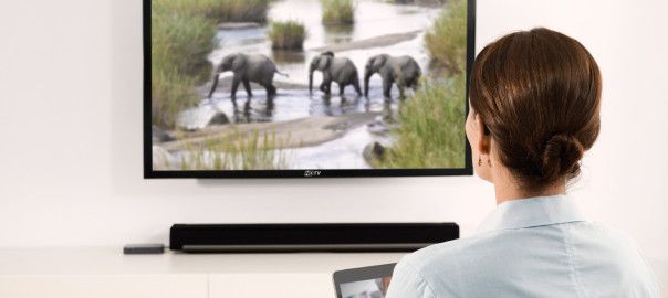 Woman watching elephants on a wall mounted TV